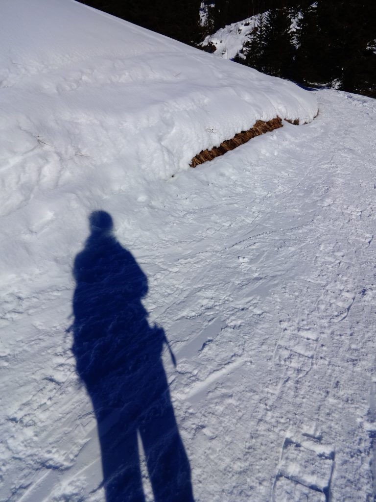 winter hiking trail