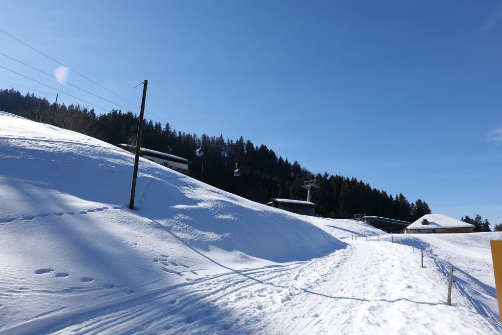 winter panorama