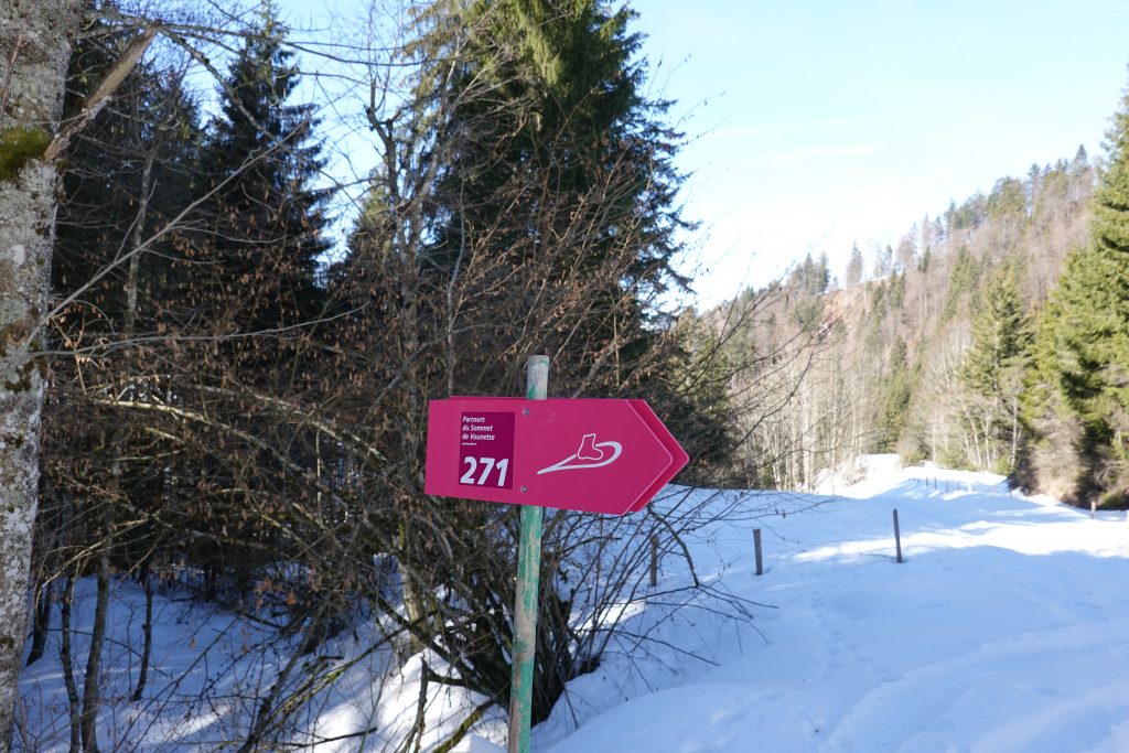 snowshoe trail in charmey