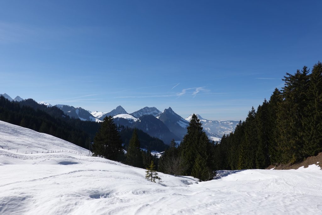 winter panorama from vounetz